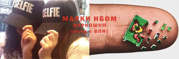 PSILOCYBIN Семёнов