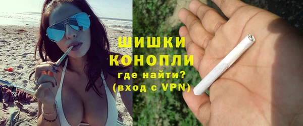 PSILOCYBIN Семёнов