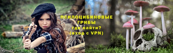 амф Верея