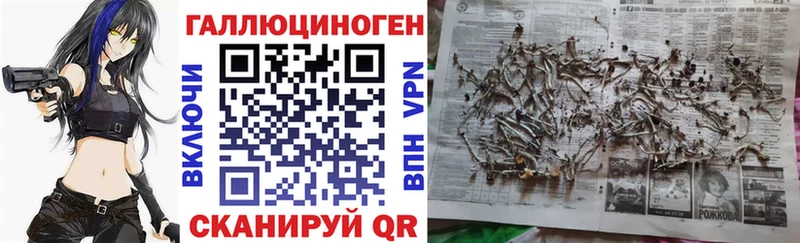 Галлюциногенные грибы MAGIC MUSHROOMS  Лыткарино 